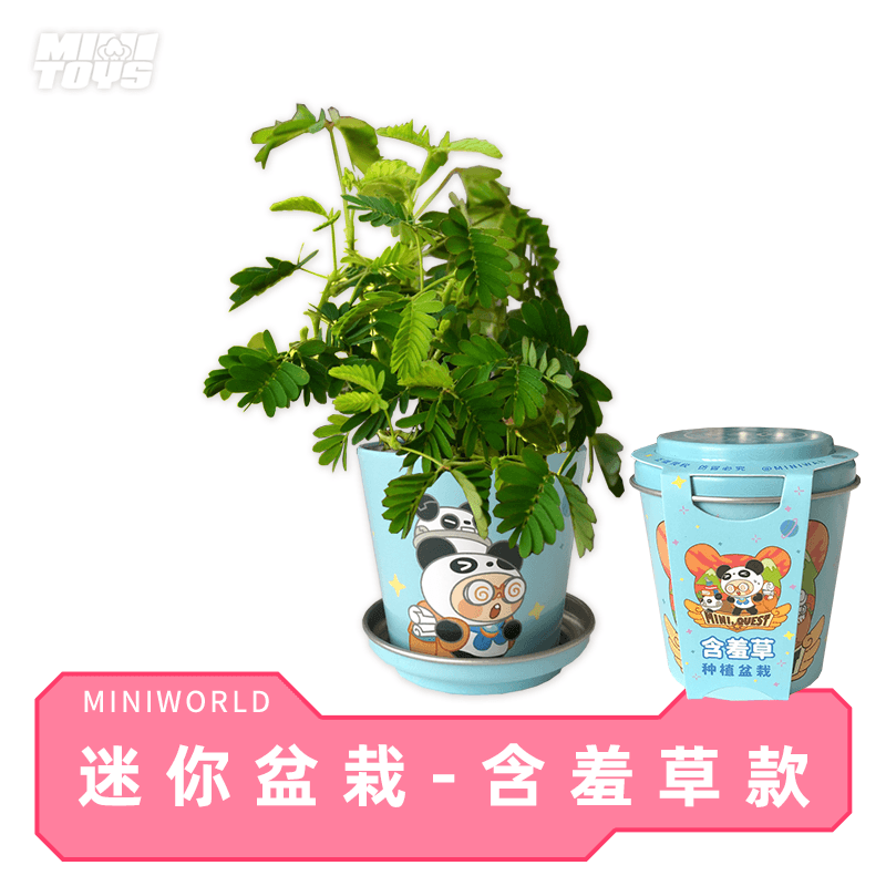 迷你世界盆栽绿植桌面向日葵小番茄凤仙花含羞草牵牛花猫草 含羞