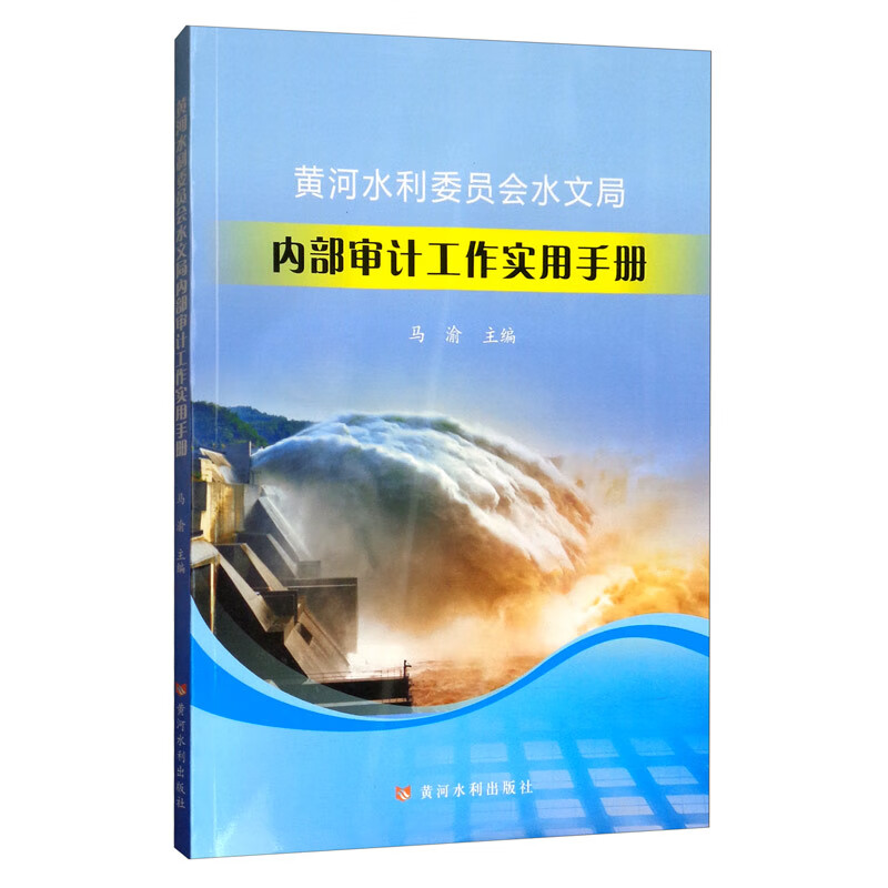 黄河水利委员会水文局内部审计工作实用手册
