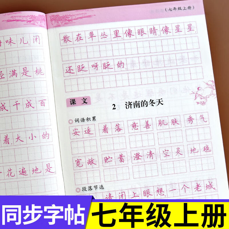 练字帖七年级下册字帖语文人教版语文字帖七年级下册字帖初中生 七