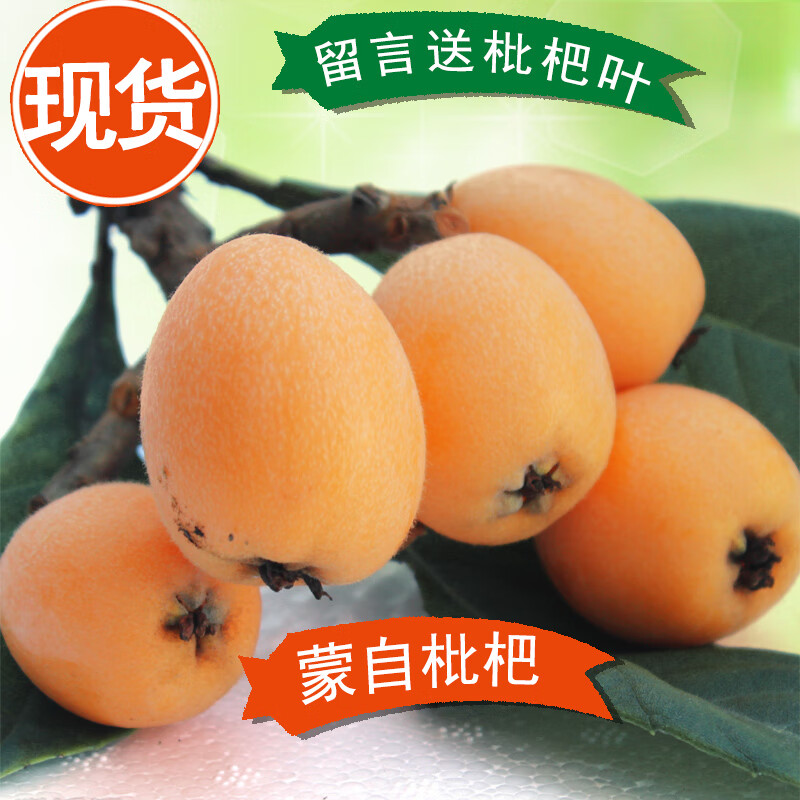 欧因  云南蒙自枇杷现货枇杷果 三斤新鲜枇杷水果z