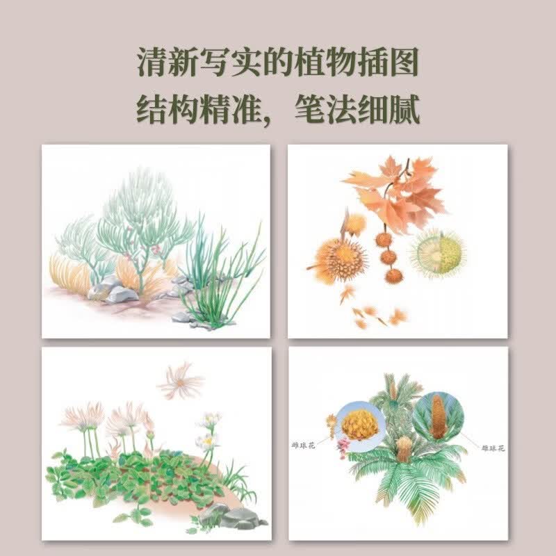 超级科学家▪了不起的植物详情图