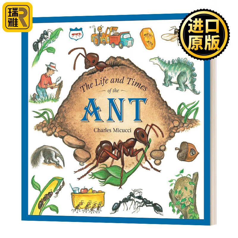 进口原版 the life and times of the ant 蚂蚁的生活和时代 绘本
