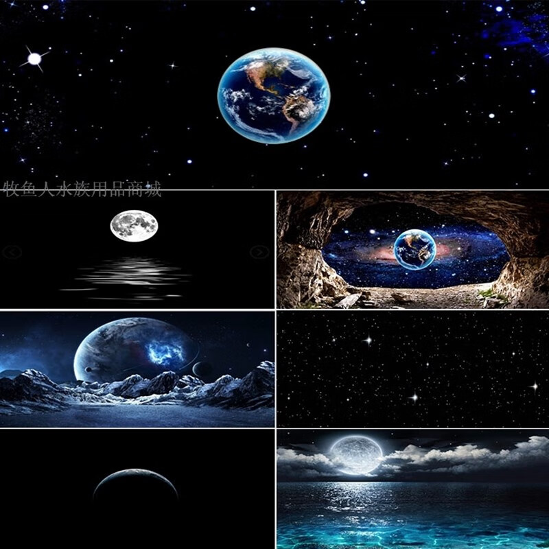鱼缸专用背景纸水族箱高清背景画龟缸背景图饲养缸贴纸壁纸壁画月销