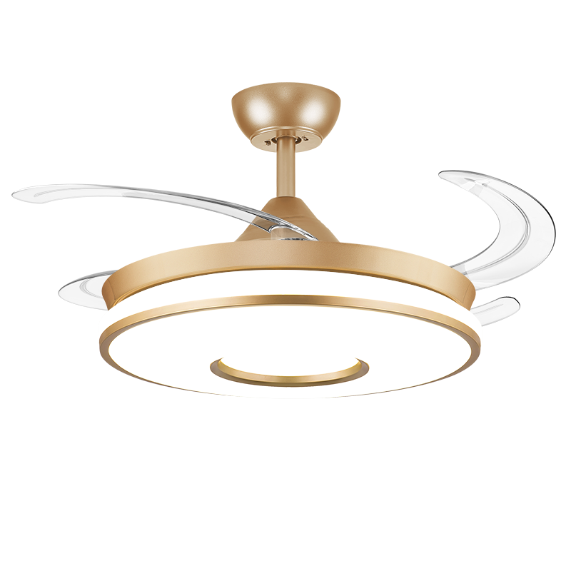 领王隐形风扇灯吊扇灯餐厅客厅卧室灯扇一体两用网红电扇灯