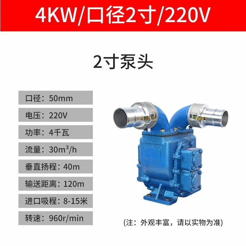 泽洋抽粪泵养殖场抽粪机家用化粪池厕所猪粪泥浆泵无堵塞吸粪神器 2寸