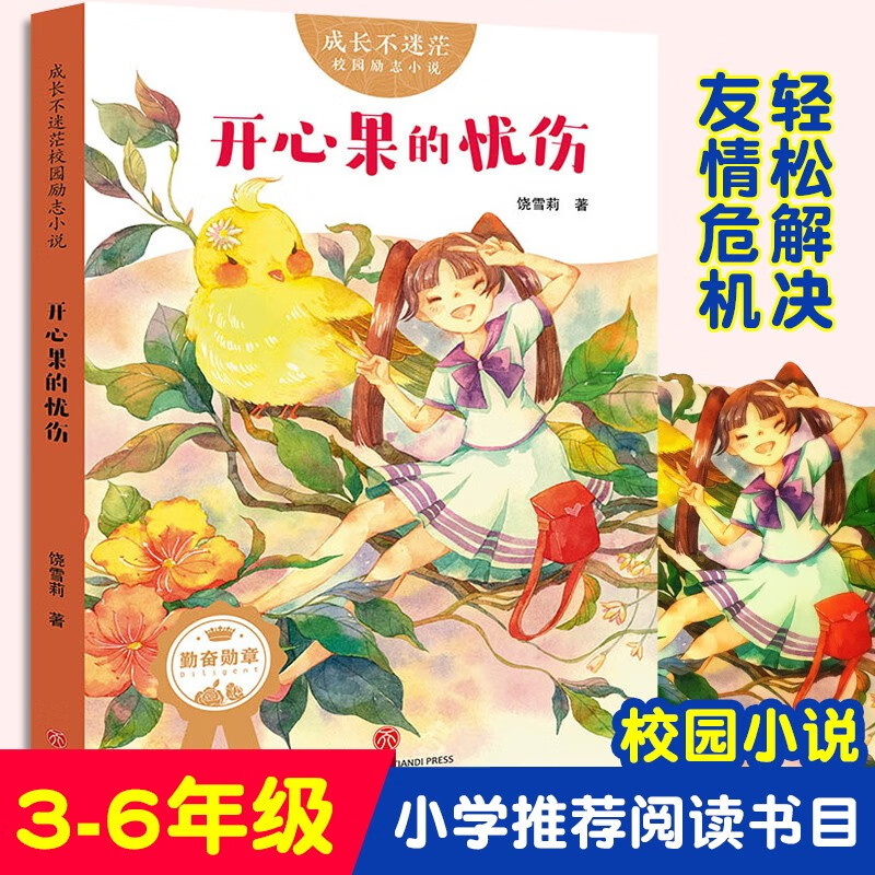 成长不迷茫校园励志小说第二辑 开心果的忧伤 饶雪莉