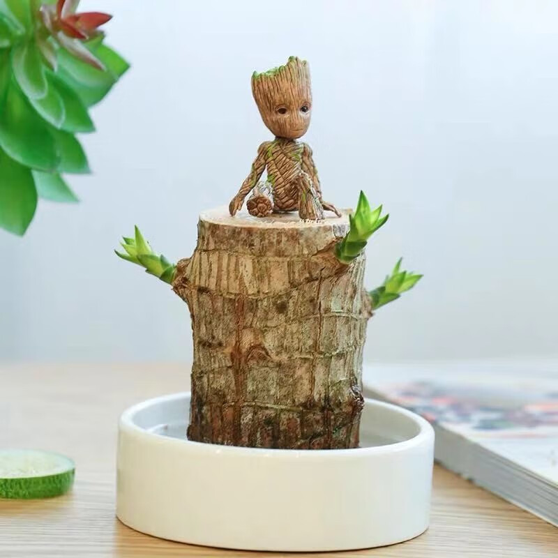 致荟树巴西木水培植物幸运木桌面绿植盆栽四季常青办公桌室内花卉格鲁特 5厘米+暖白盆+格鲁特 含盆