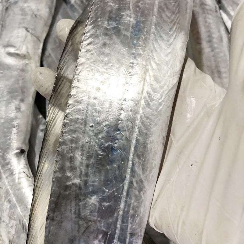 源外园 东海钓带鱼 新鲜船冻特级大钓带鱼整箱大号整条生鲜 鱼类带鱼 带鱼整条净重无冰【5斤装】 大规格0.7-1斤/条