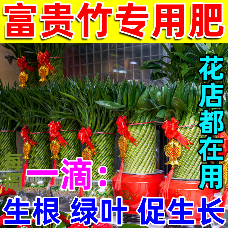 富贵竹营养液竹子专用水培营养液植物通用型观音竹节节高花卉肥料 专克黄叶【1*水培素+1*叶绿素】 京东折扣/优惠券