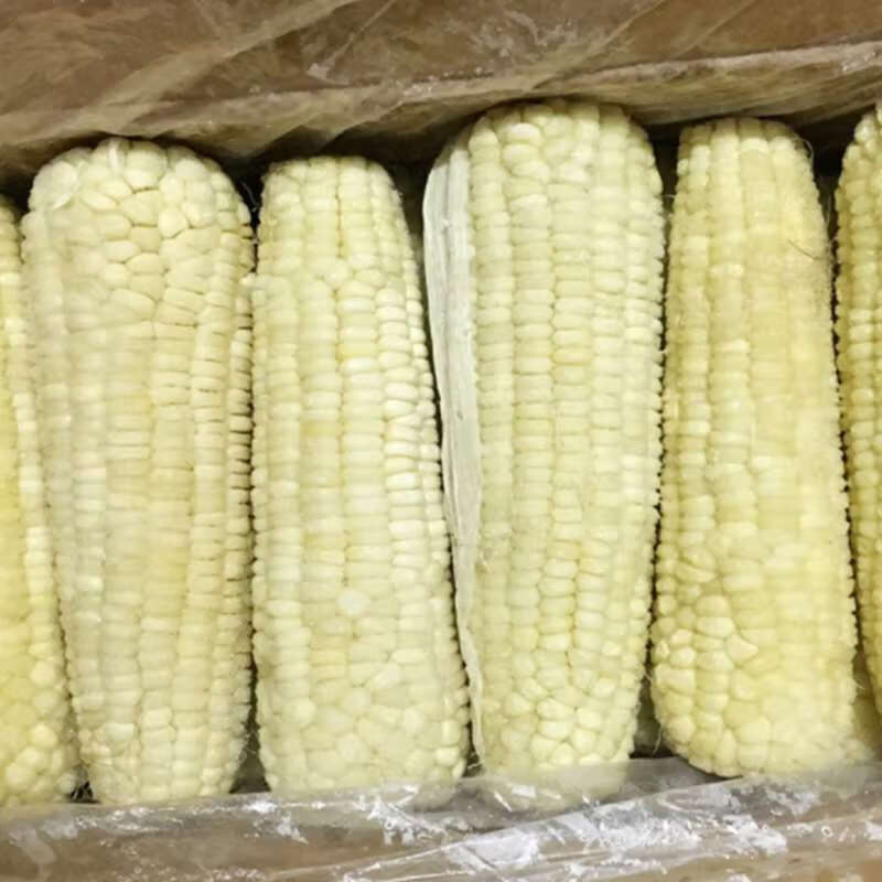刻凡盛世三诚单根300克-350克 长白山粘糯速冻玉米东北玉米糯玉米棒香