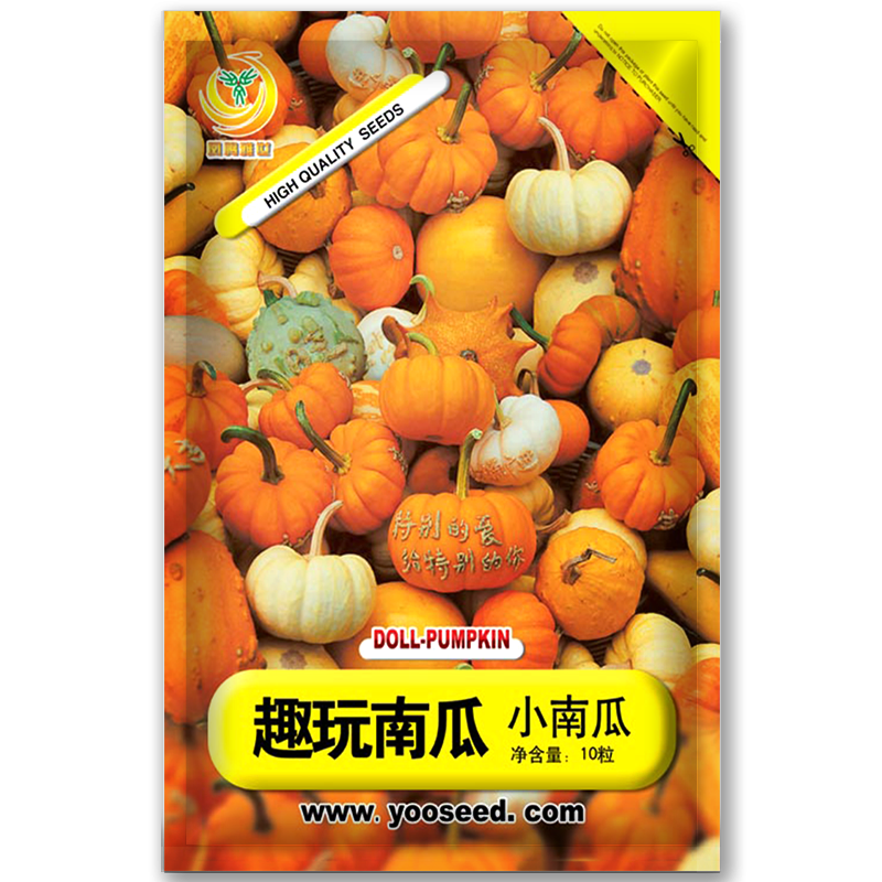 凤鸣雅世趣玩玩具南瓜种子春夏季庭院观光园爬藤瓜果种孑玩偶南瓜种子