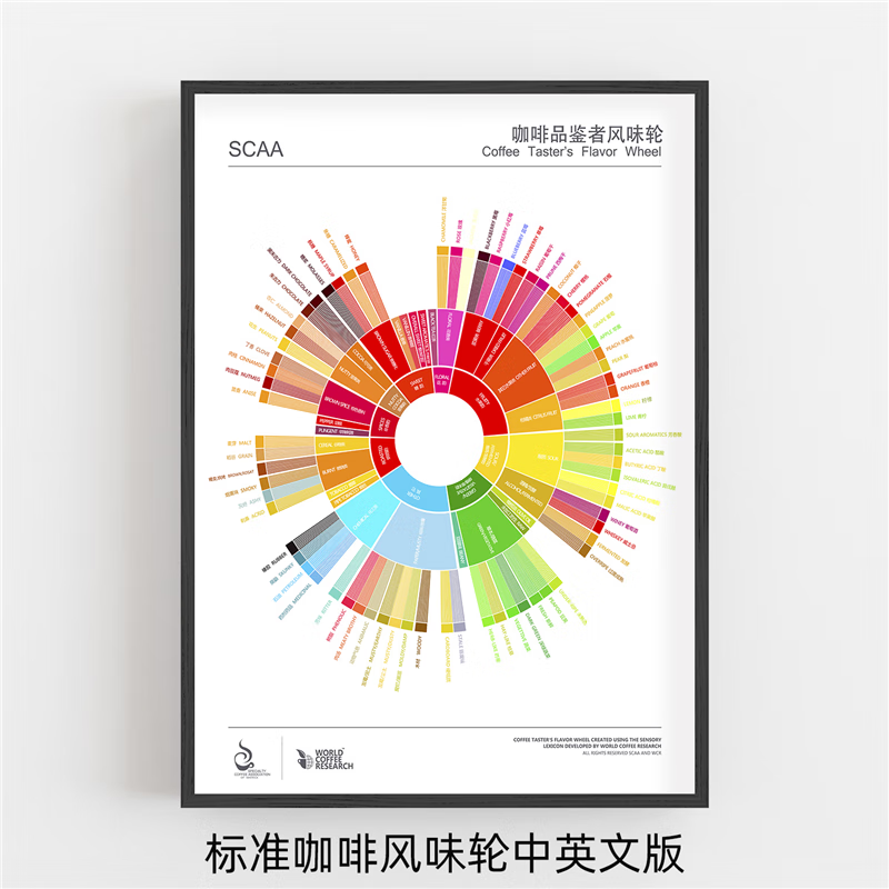 1咖啡风味轮中文 43*33