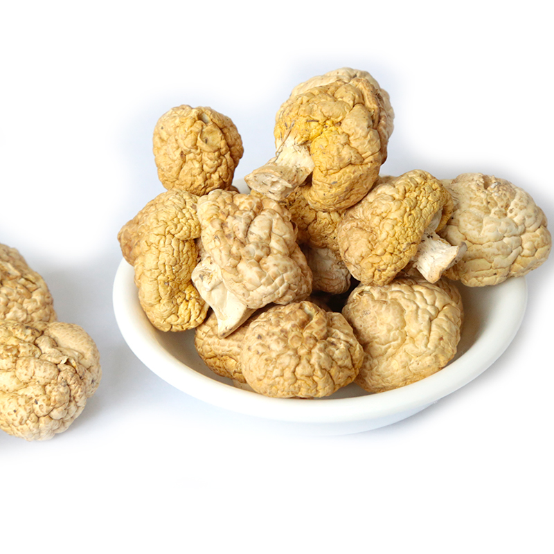 禾澹青海特产祁连山特产小黄蘑菇干货钉子菇 皇香菇 煲汤菇菌新货