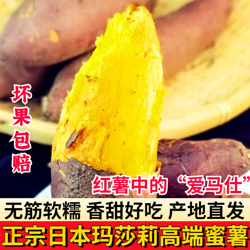 玛莎莉红薯 红瑶黄金蜜薯新鲜现挖黄心板栗香甜烤地瓜康平 5斤 玛莎莉