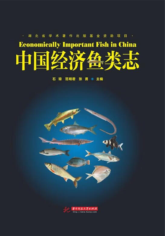 中国经济鱼类志 石琼,范明君,张勇【正版书】