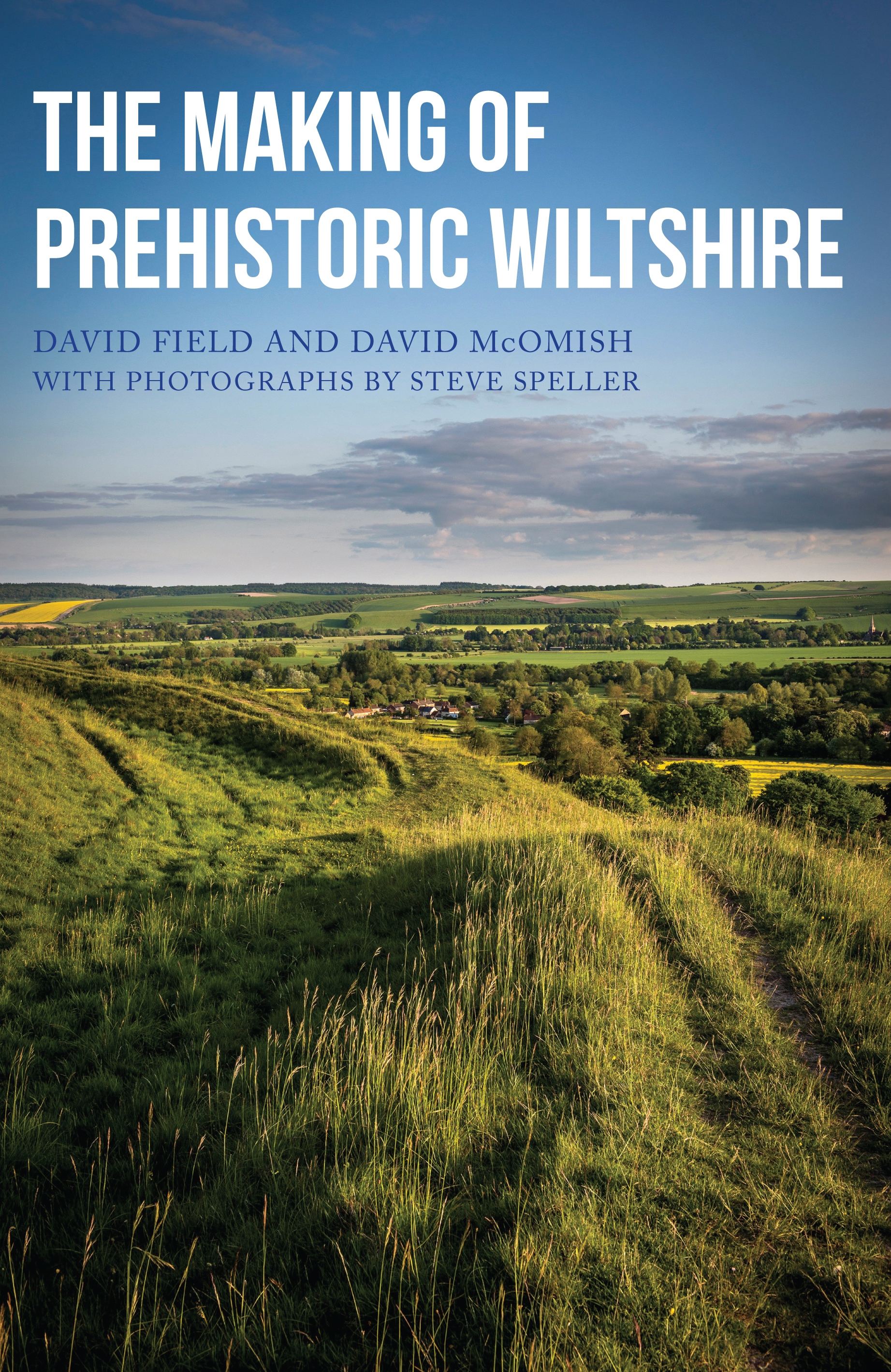 making of prehistoric wiltshire