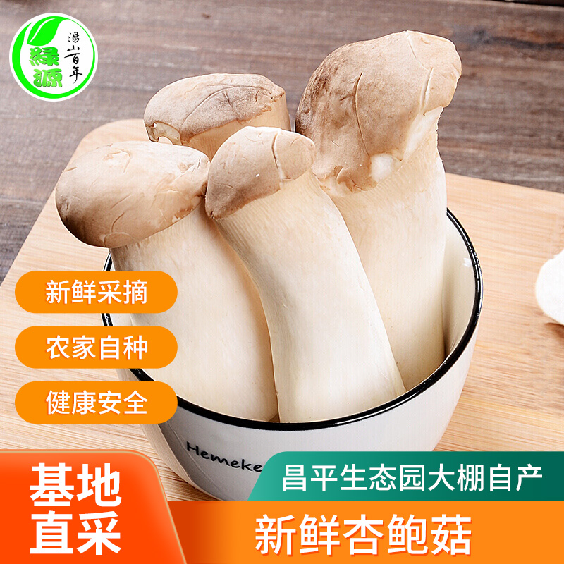 杏鲍菇两斤装新鲜菌类蘑菇蔬菜农家菜新鲜杏鲍菇500克*2