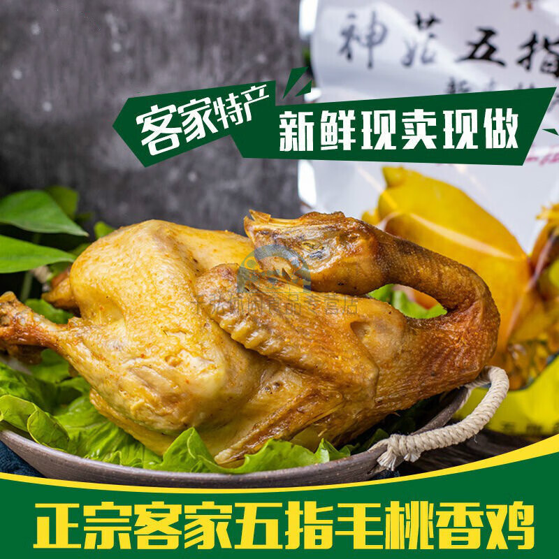 芬氏新丰特产阿婆鸡 五指毛桃鸡香鸡 手撕鸡 网红吃货 熟鸡肉速食 零