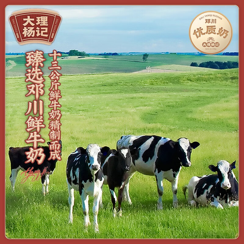 老香农 云南大理特产杨记乳扇乳饼鲜牛奶手工制作奶酪美食保鲜装加