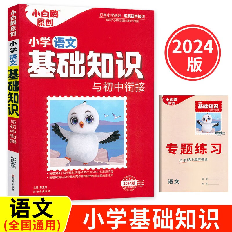 2024版小白鸥原创小学语文基础知识与初中衔接含专题练习共2册