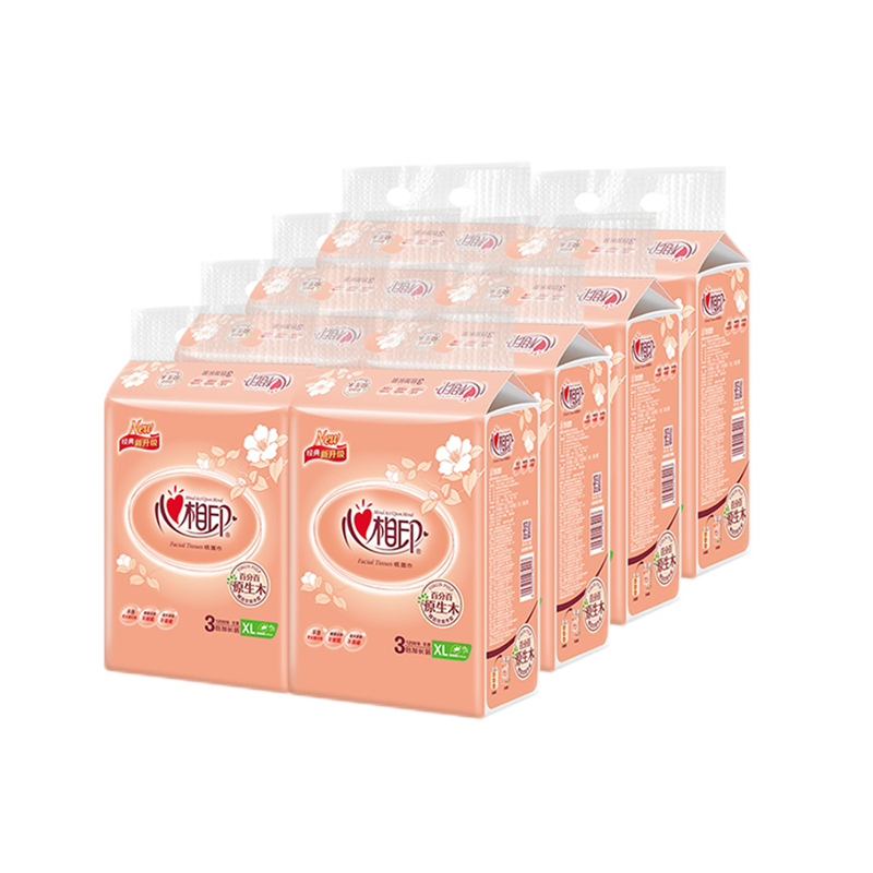 心相印经典抽纸dt200 l码双层*200抽*24包
