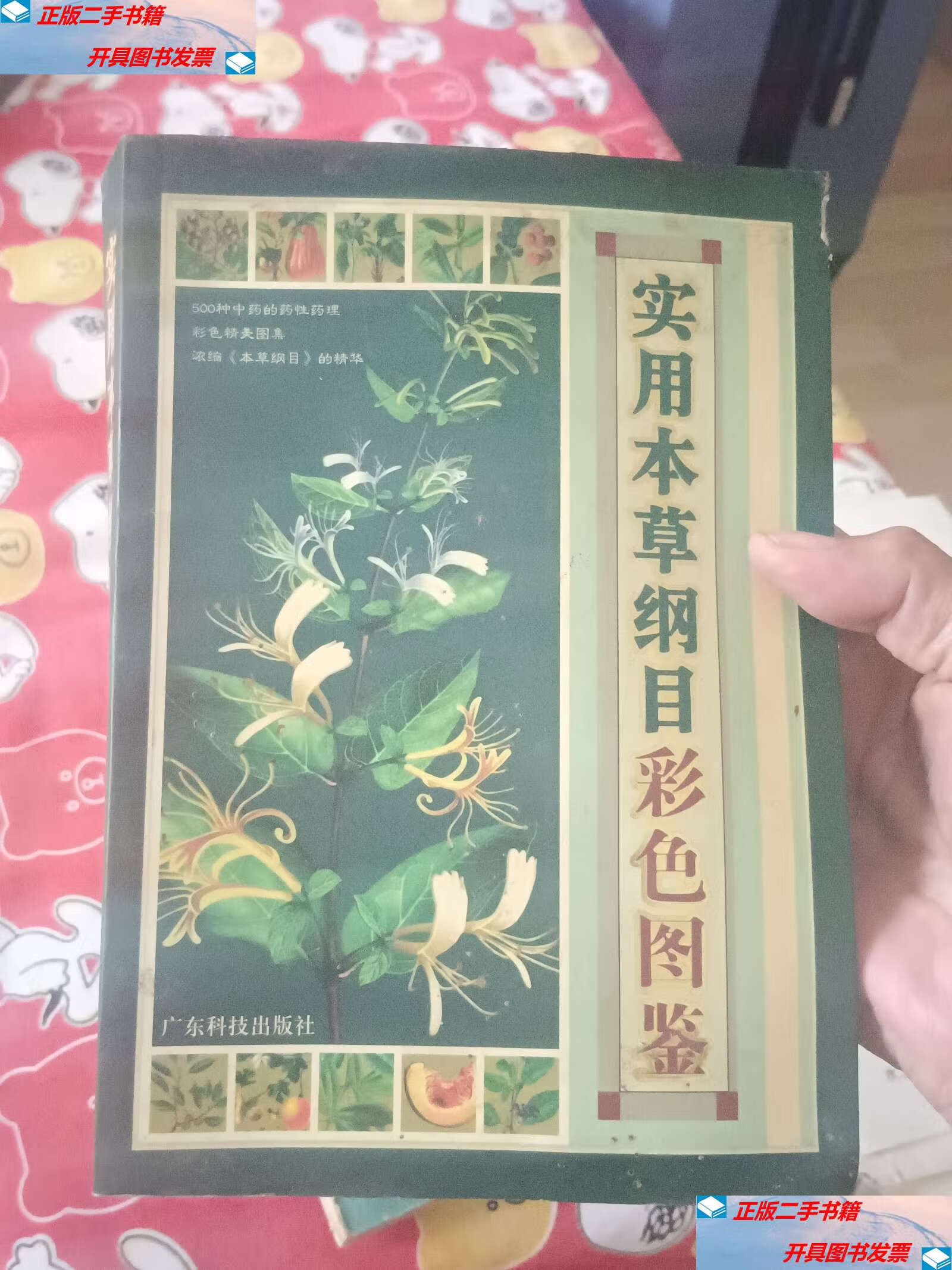 【二手9成新】实用本草纲目彩色图鉴【原版书 照片】 /高学敏 广东