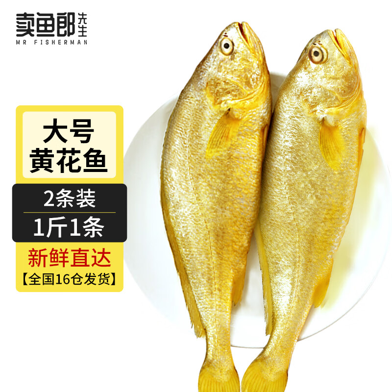 卖鱼郎先生 黄花鱼 1kg/2条 国产福建大黄鱼 生鲜鱼类