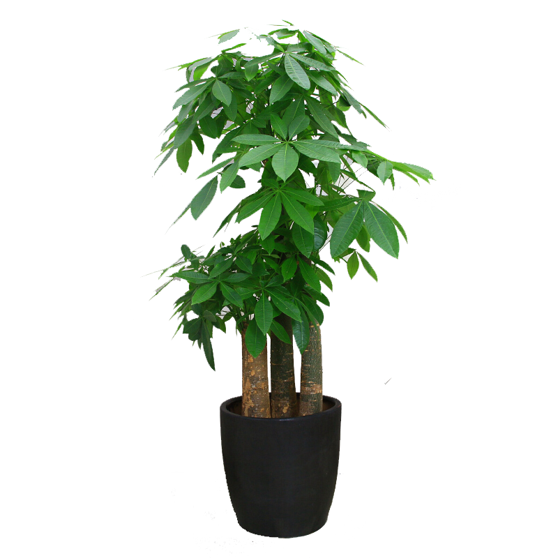 Only youСʱֲڿ칫ҿҵǨ ߷