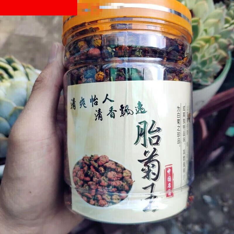 110g装西藏昆仑冰山雪菊茶胎菊王滋补茶 特级滋补茶