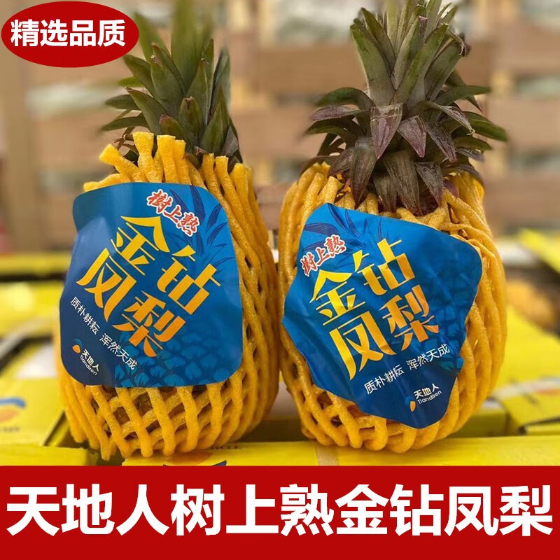 天地人树上熟金钻凤梨2个装当季时令新鲜水果香水菠萝特产无眼凤 4斤