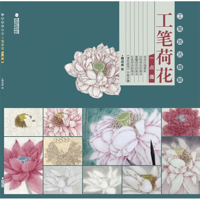 【当日发】工笔技法精解工笔荷花一点通福建美术出版社