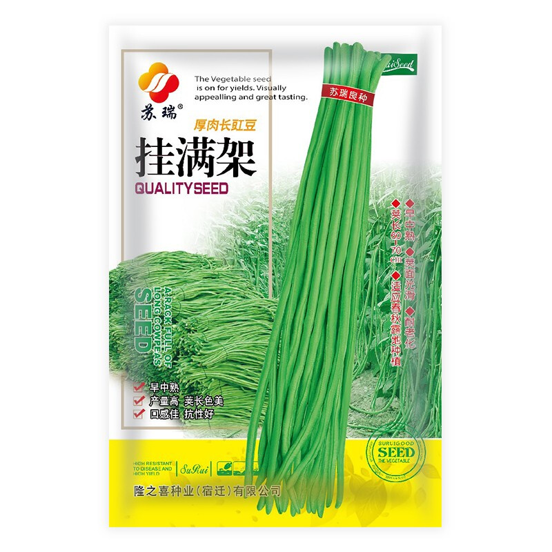 苏瑞小五叶厚肉长豇豆种子上架不上架高产绿条蔬菜种子四季播种 挂满