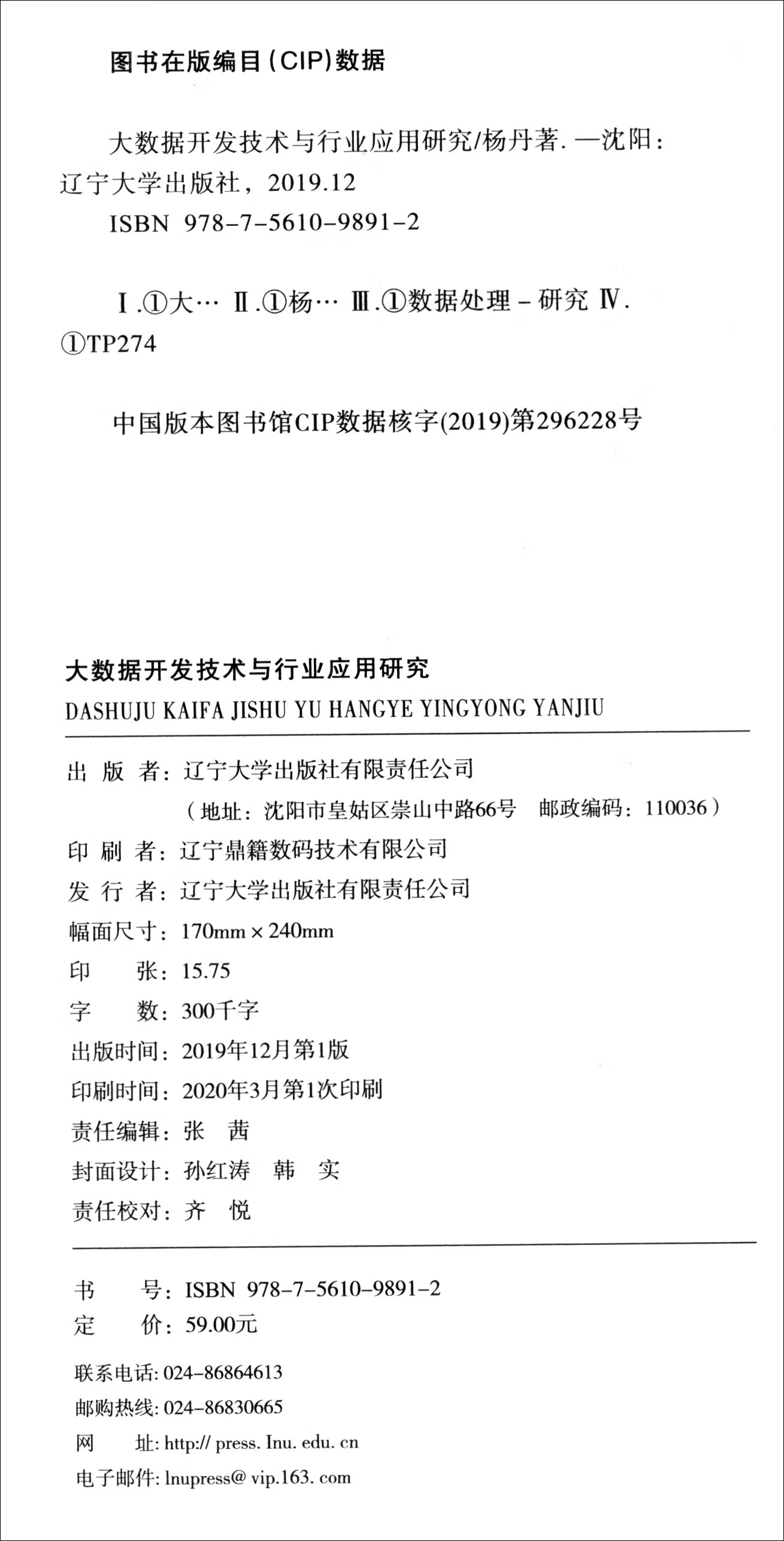 大数据开发技术与行业应用研究详情图