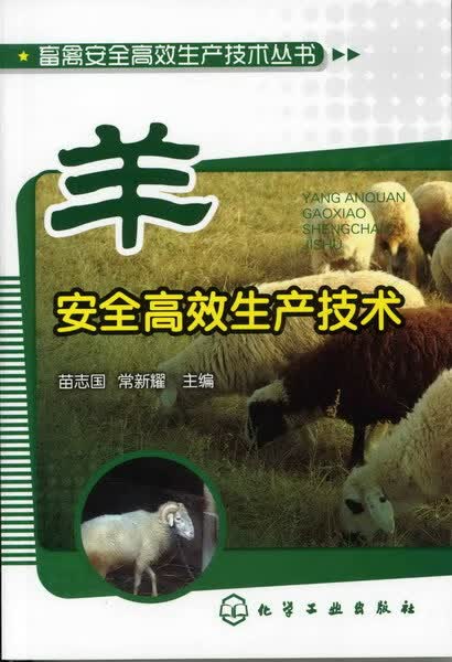 羊安全高效生产技术 苗志国、常新耀 主编 畜禽安全高效生产技术丛书