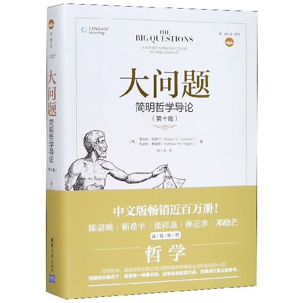 大问题(简明哲学导论第10版)(精)