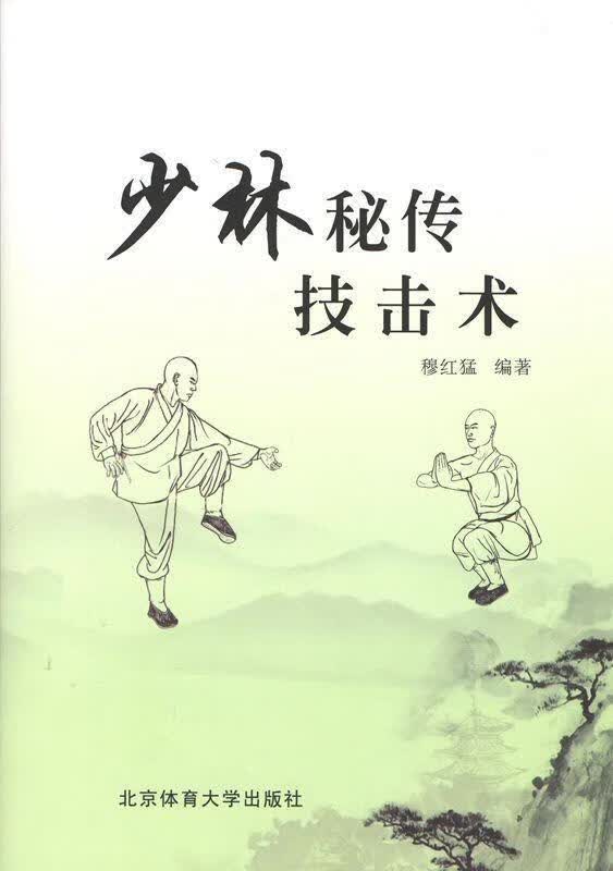 少林秘传技击术
