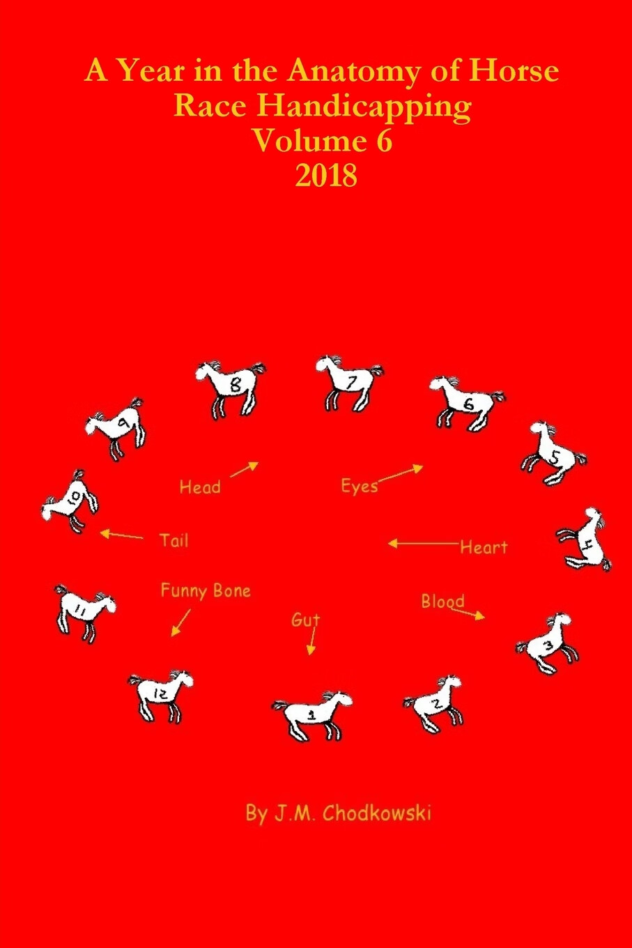 【预售 按需印刷】a year in the anatomy of horse race