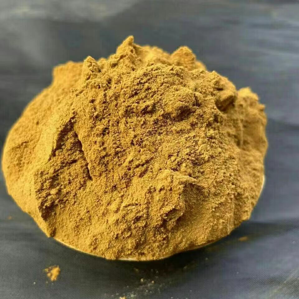 桑黄粉西藏桑树桑黄茶桑黄粉新货金边桑黄粉50克500g西藏桑黄粉代客