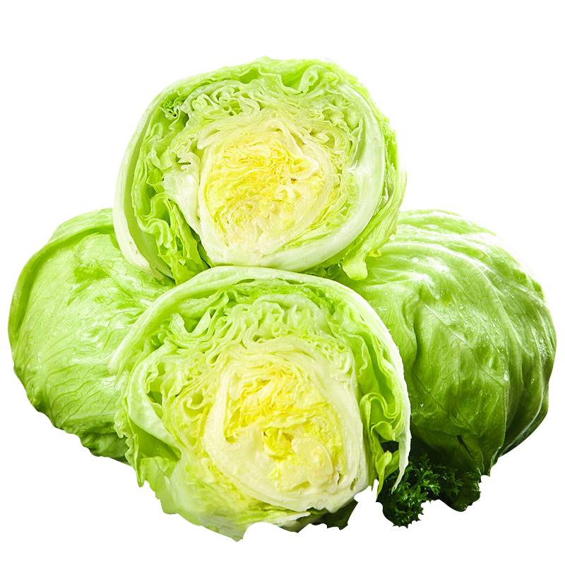 青尊园球生菜装新鲜生菜球汉堡生菜专用蔬菜即食青菜球形生菜 1斤