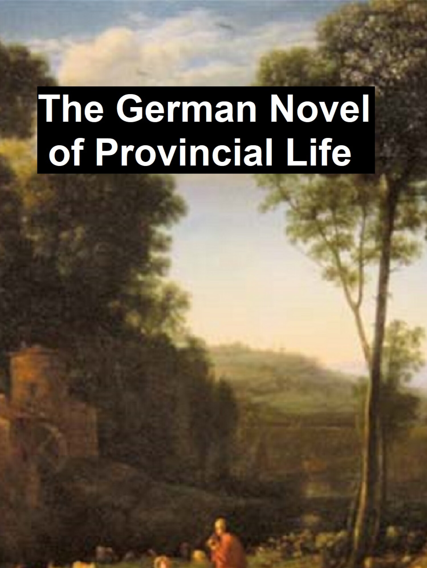 the german novel of provincial life