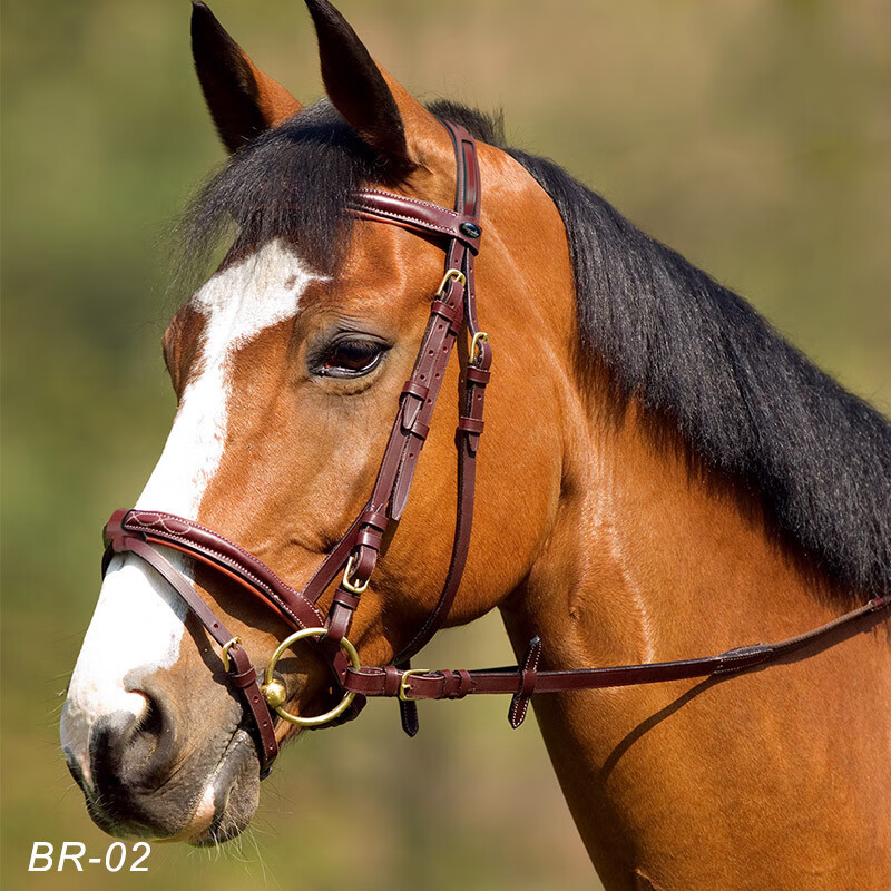 美明博英式马鞍水勒缰 马场马术训练障碍会员马龙头西部 黑色 均码