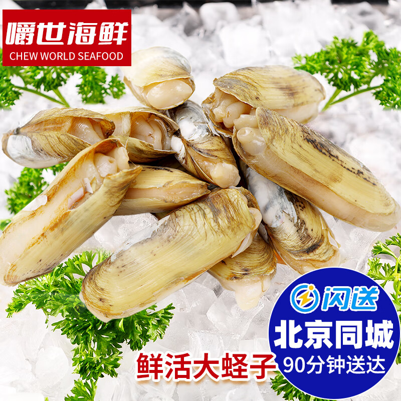 北京同城发闪送 鲜活蛏子 新鲜海鲜肉肥双头大蛏子 无沙水产 蛏子500g