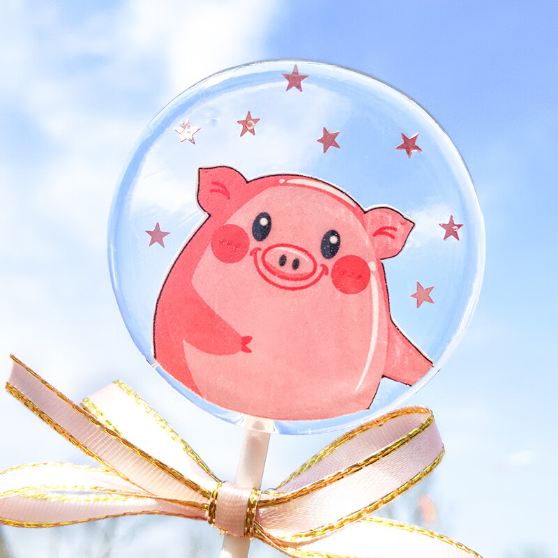 维霆星空创意小猪棒棒糖网红高颜值可爱手工糖果幼儿园奖励小零食h