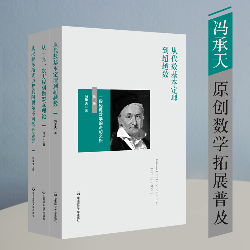 现货 可选：冯承天从代数基本定理到超越数从一元一次方程到伽罗瓦理论从求解多项式方程到阿贝尔不可能性定理 【全3册】冯承天原创数学科普趣味图书