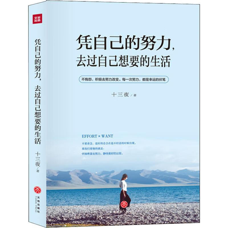 凭自己的努力,去过自己想要的生活 十三夜 著 励志书籍排行榜 你不