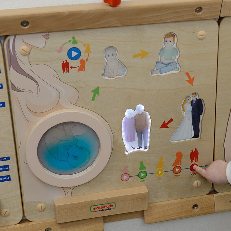 masterkidz贝思德 墙面游戏 - 人类成长阶段探索灯板