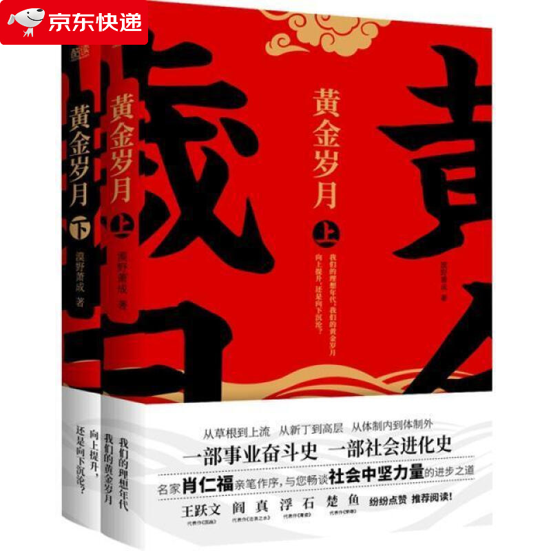 黄金岁月 上下册 漠野萧成 著 中国文学小说 事业奋斗 社会进化 畅谈社会中坚力量的进步之道