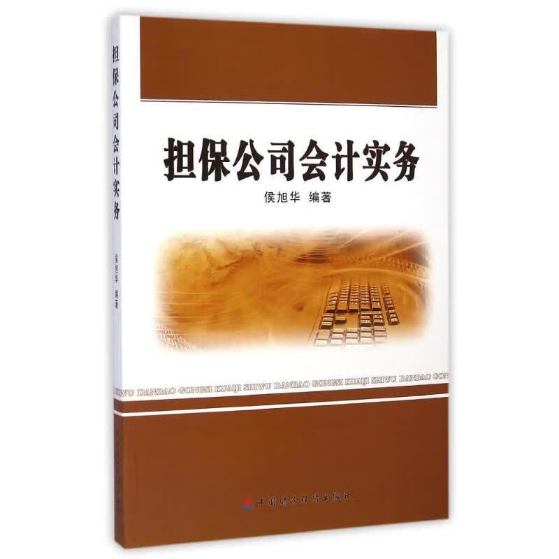 担保公司会计实务