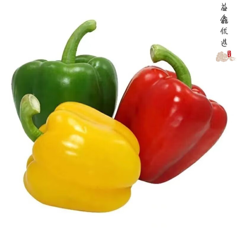 寿光七彩辣椒新鲜灯笼辣椒五彩辣椒 三色彩椒混装 净重5斤装