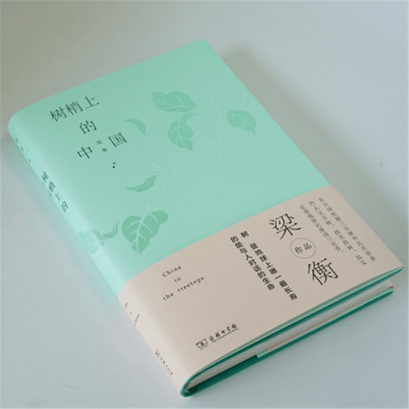 树梢上的中国